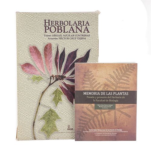 Libros sobre Herbolaria y Plantas. Herbolaria Poblana / Memoria de las Plantas. Piezas: 2.
