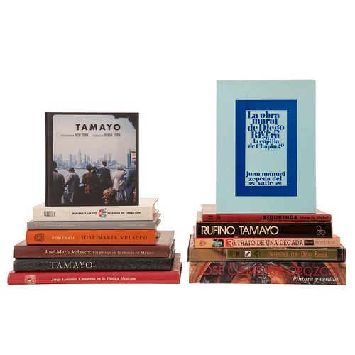 Libros sobre Pintores Mexicanos. Retrato de una Década. David Alfaro Siqueiros / Rufino Tamayo 70 años de Creación. Piezas: 13.