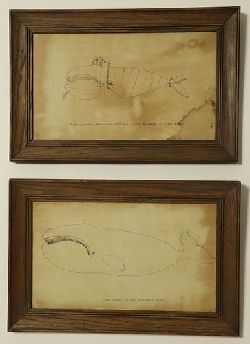 Two Antique Pen Ink Drawings "Right Whale of the Northwest Coast"