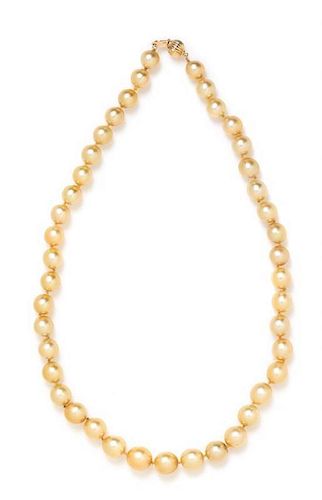 A Single Strand Cultured Golden South Sea Pearl Necklace,
