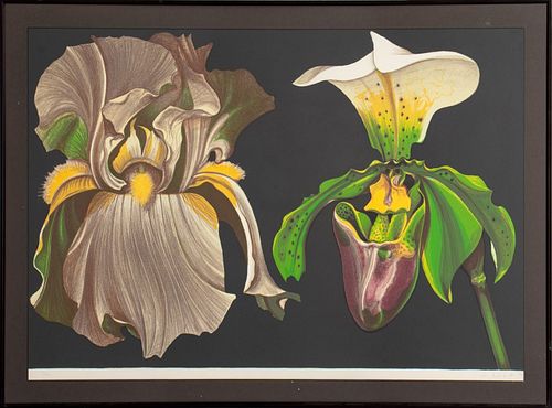 Lowell Nesbitt "Iris and Orchid" Lithograph