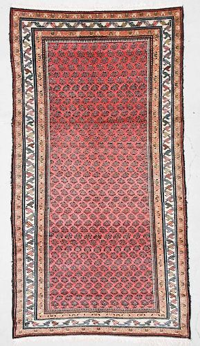 Antique Persian Kurd Rug: 5'4" x 9'9" (163 x 297 cm)