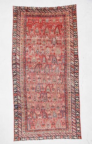 Antique West Persian Kurd Rug: 5'4" x 10'6"