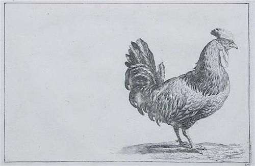 * A Set of Two Lithographs of Fowl Each: 8 3/4 x 11 1/2 inches.