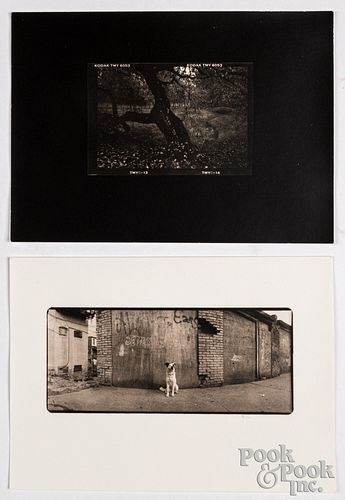 Two Allan Janus photographs