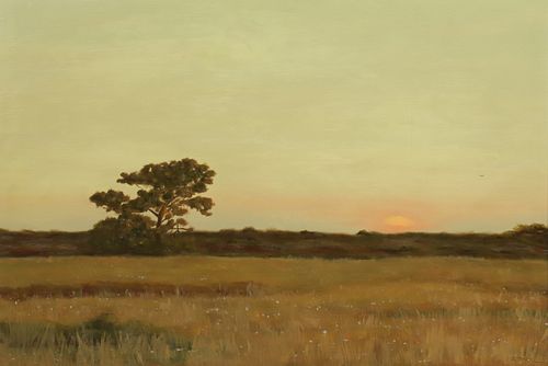 Robert Stark Jr. Oil on Board "Nantucket Sunset with Lone Tree and Green Fields"
