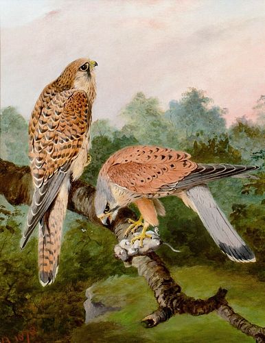 TWO FALCONS ON A BRANCH OIL PAINTING