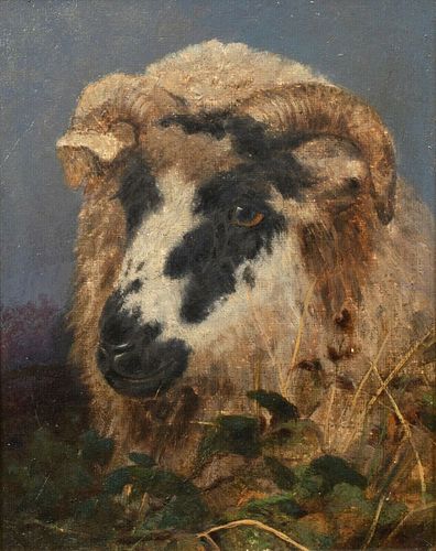 STUDY PORTRAIT OF A RAMS HEAD OIL PAINTING