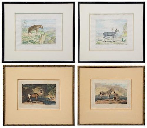 A Group of Four Engravings with Hand Coloring Height of largest 9 1/2 x width 11 1/2 inches.