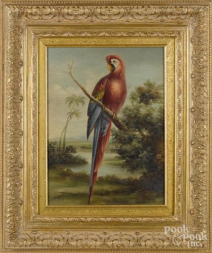 Set of four contemporary oil on canvas bird portraits, 16'' x 12''.