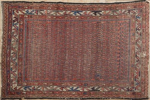 Oriental Carpet, 5' 5 x 5' 5.