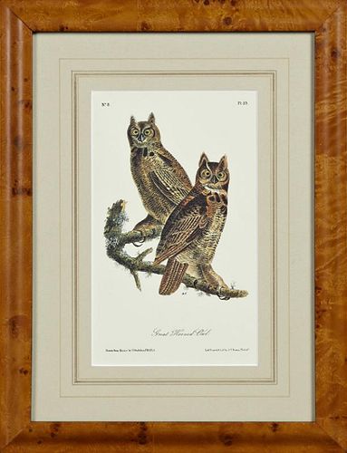 John James Audubon (1785-1851), "Great Horned Owl,