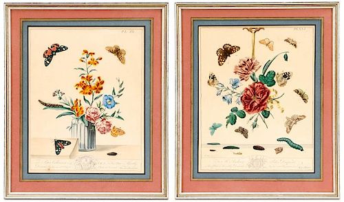 Group of 2 Framed Moses Harris Etchings, 1750