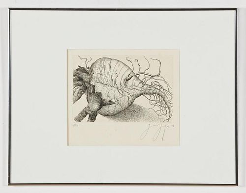 Gunter Grass (German, 1927-2015) Untitled (Turnip), 1976, etching
