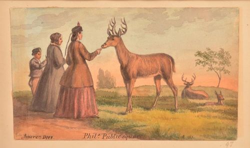 Augustus Kollner Watercolor "American Deer".