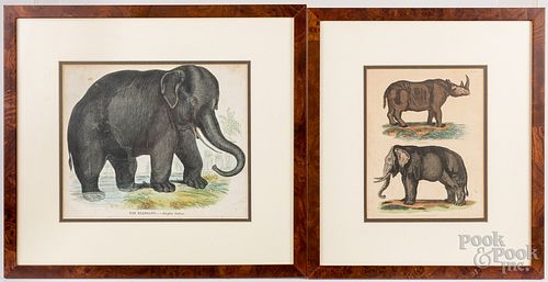 Two early animal engravings, 19th c.