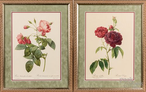 Four botanical lithographs, 20th c.