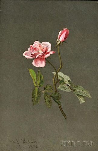 Martin Johnson Heade (American, 1819-1904)      Pink Rose