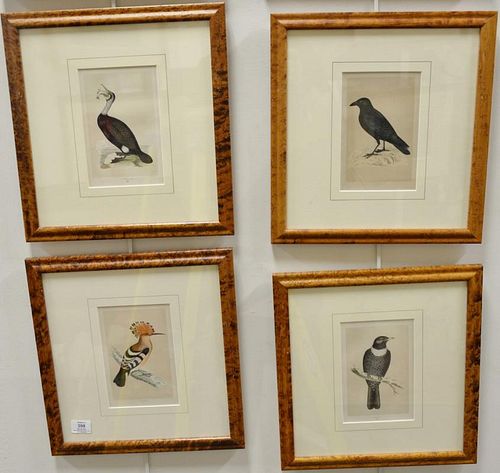 Set of ten hand colored framed bird lithographs by Francis Orpen Morris from the History of British Birds including Goldcrest 161, H...