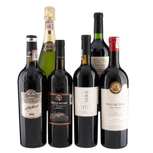 Lote de Vinos Tintos y Espumosos de Italia, México, Argentina y Francia. En presentaciones de 750 ml. Total de piezas: 6.