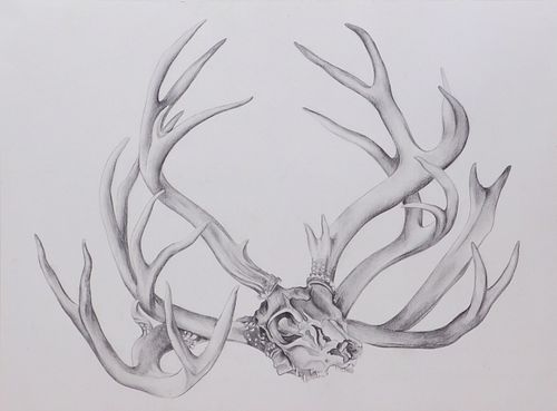  Georgia O'Keeffe, Attributed: Antlers Sketch