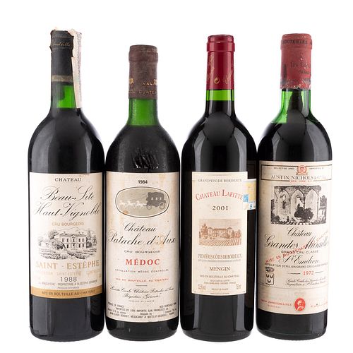 Lote de Vinos Tintos de Francia. Château Beau - Site Haut Vignoble. En presentaciones de 750 ml. Total de piezas: 4.