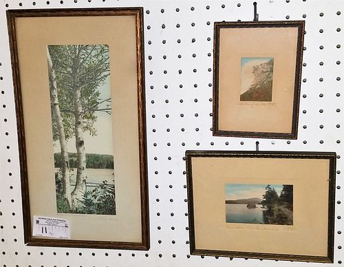 LOT 3 FRAMED COLOR PHOTOS- J.C. BUCKNELL BIRCHES 12" X 4 1/2" - 2 SAWYERS OLD MAN OF THE MTS 2 3/4" AND SHORE DRIVE BLUE MT LAKE 2 3/4" X 4 1/2"