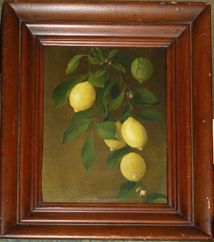 19th c American School o/c still life of lemons unsigned, relined on new stretcher 16 x 12"