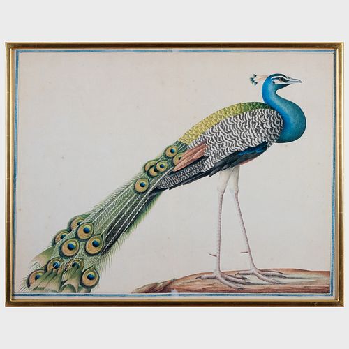 20th Century School: Three Ornithological Prints