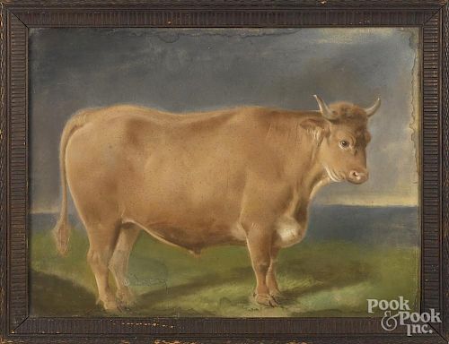 Pastel of a prize bull, 19th c., 19'' x 24 1/2''.
