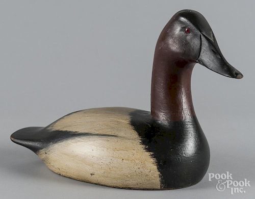 St. Lawrence River carved and painted canvasback duck decoy, branded Hall, with a high head