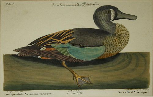 I.M. Seligmann early 19th c German print " Schectiges Americanisches Kriechentlein" hand colored eng