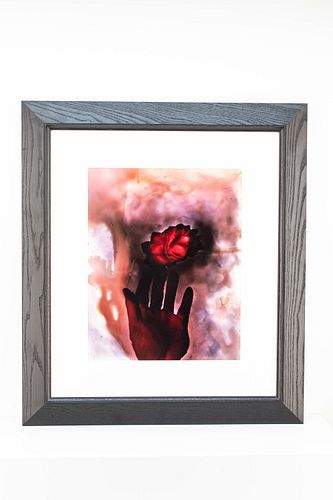 Altered Photographic Print of Hand & Rose