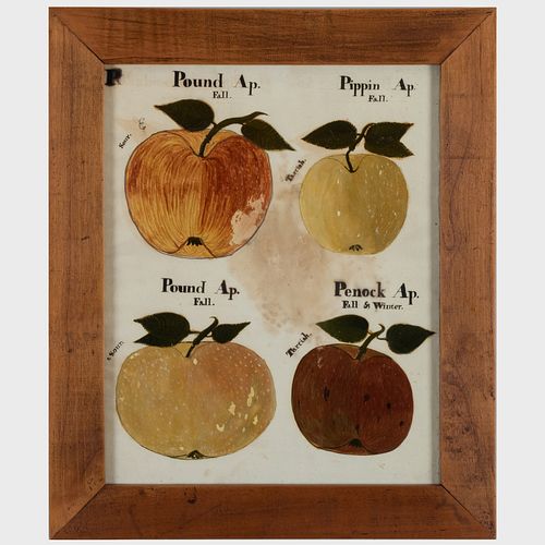 American School: Apples: A Group of Three