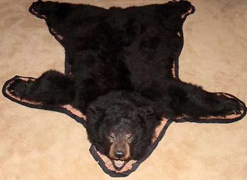 AMERICAN BLACK BEAR FULL SKIN RUG