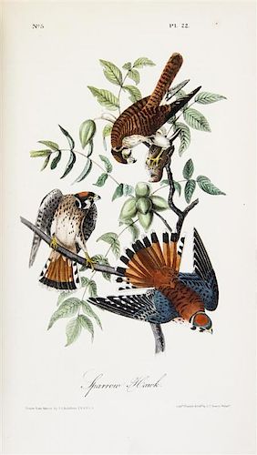 AUDUBON, JOHN JAMES. The Birds of America. New York; Philadelphia, 1840-1844. 7 vols. First octavo edition. Complete with 500 pl