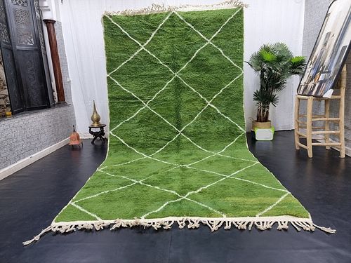 Stunning Green Soft Authentic Rug