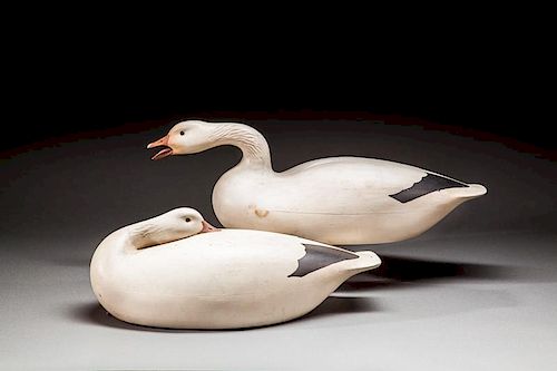 Snow Goose Pair by Keith Mueller (b. 1956)