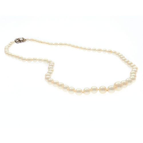 Graduated Cultured Pearl, Silver Necklace, Mikimoto