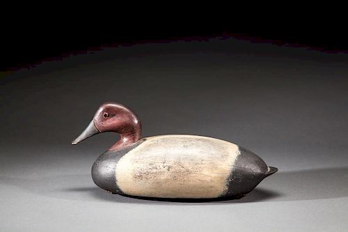 Canvasback Drake by Charles "Cooper" Burkley (1910-1983)