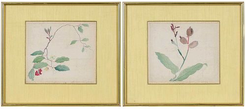 Pair of Framed Chinese Botanical Watercolors