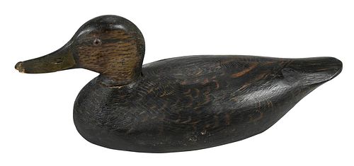 Anthony Elmer Crowell Attributed Black Duck Decoy