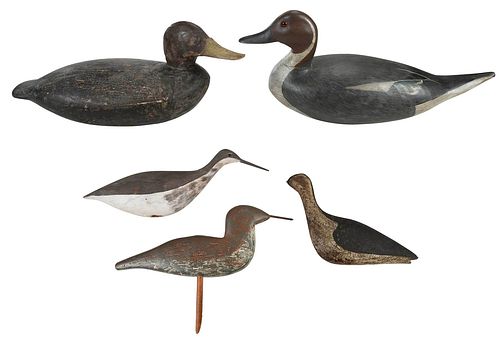 Group of Five American Duck and Shorebird Decoys