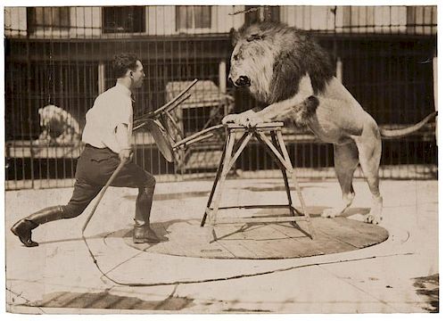 Group of Three Photographs of Circus Lions.