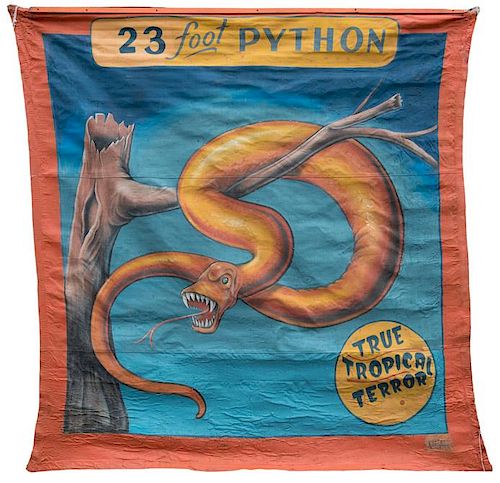 Twenty-Three Foot Python. True Tropical Terror.