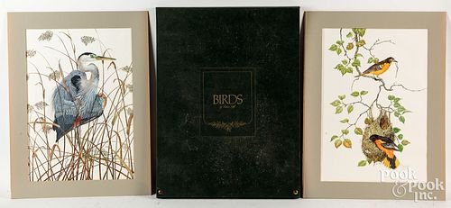 Robin Hill Birds portfolio.