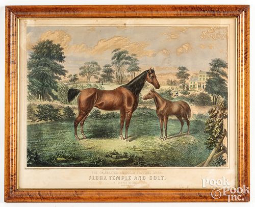 John Smith color horse lithograph
