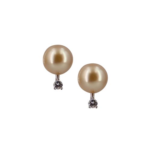 Golden South Sea Pearl & diamonds  14k Gold Earrings