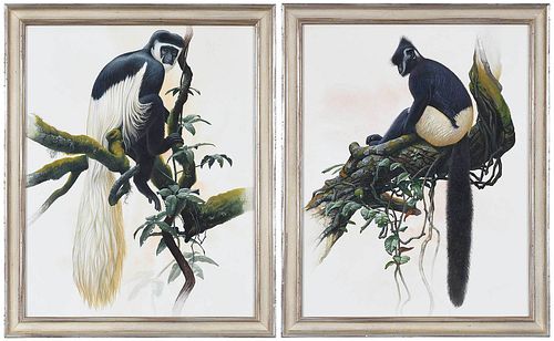 Two Peter Schouten Watercolors, Monkeys