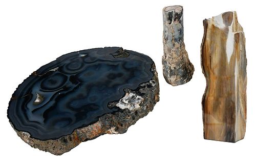 Three Pieces of Petrified Wood